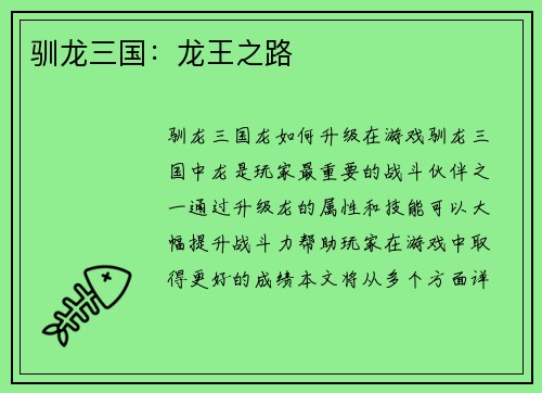 驯龙三国：龙王之路